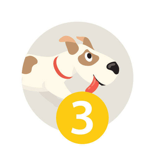 étape 3 urgences vétérinaires