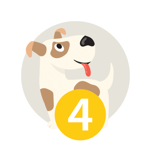 étape 4 urgences vétérinaires