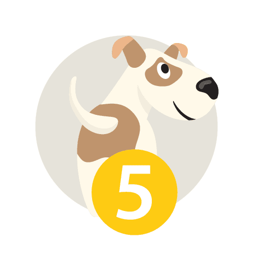 étape 5 urgences vétérinaires