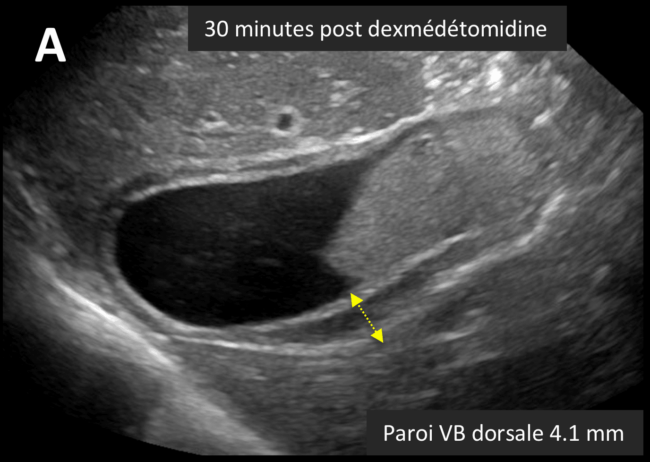 Capture-decran-2022-11-28-a-13.59.09