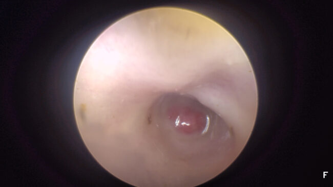 52626188604_714a25fbe0_k