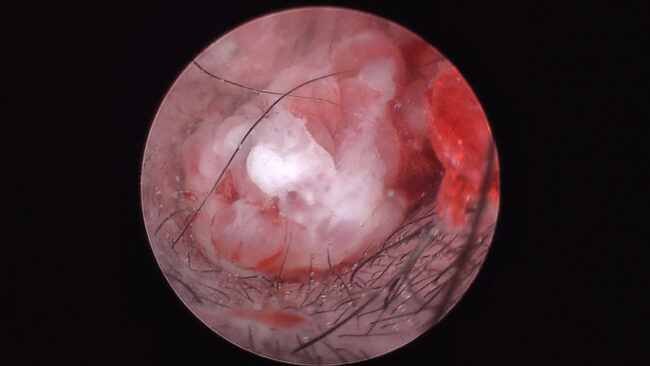 52692126347_cd752664ca_c